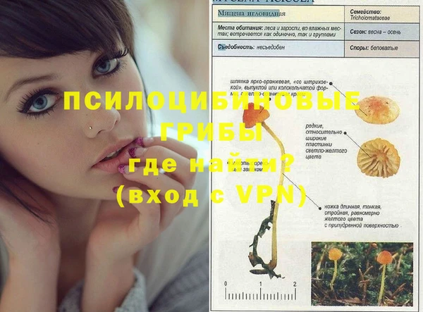 дурь Абдулино