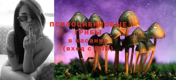 синтетический гашиш Абинск